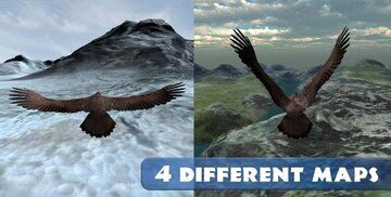 Eagle Hunting Journey(鹰狩猎之旅无限货币版)截图1