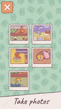The Grand Meow(èƵٷ)ͼ0