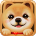 ĶС׿1.1.0ٷ