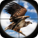 Bird Hunting(ٷ)1.0׿