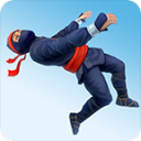 Ninja Flip(߷ͷҰ)1.1.2׿