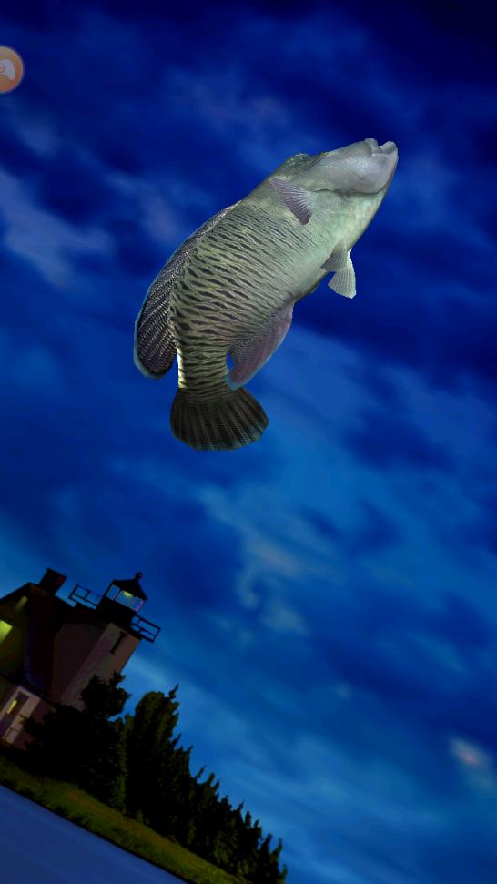 亨越疯狂钓鱼内购版 亨越疯狂钓鱼内购版