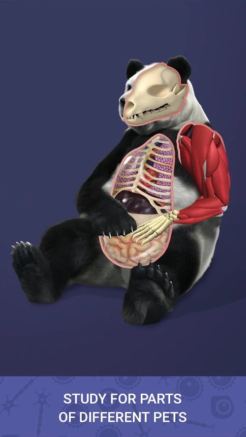 Idle Pet(放置宠物无限金币破解版)4.9全角色版截图0