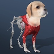 Idle Pet(放置宠物无限金币破解版)