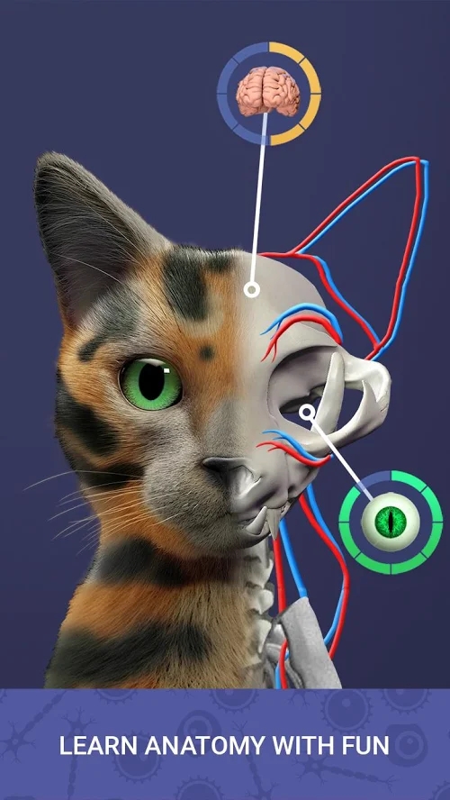 Idle Pet(放置宠物无限金币破解版)4.9全角色版截图3