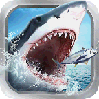 亨越疯狂钓鱼内购版