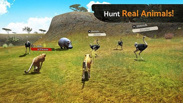 Clan of Leopards(�Ա�ģ��������������)��ͼ0