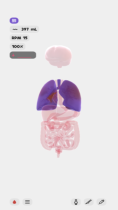 LIFEİͼ5