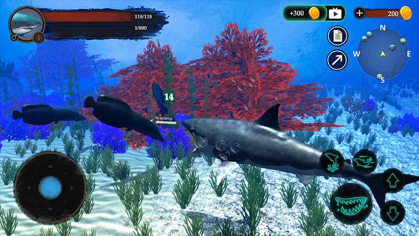 The Shark(����ģ�����޽���ƽ��)1.0.1��׿���ͼ1