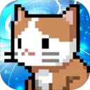 1.1.50׿
