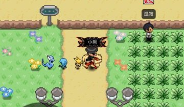 PokePlusưͼ3