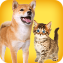 �˹�è������app2.3��׿��