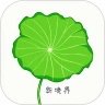ͼapp16.50°