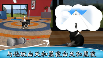 我的猫咪手游截图2