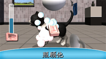 我的猫咪手游截图1