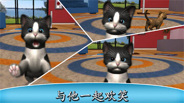 我的猫咪手游截图3