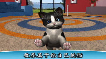 我的猫咪手游截图0