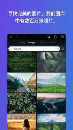 Canva平面设计高级版截图3