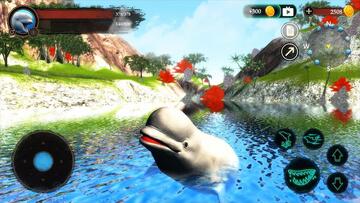 The Beluga Whale�׾�ģ���ֻ����ͼ3