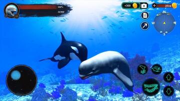 The Beluga Whale�׾�ģ���ֻ����ͼ0