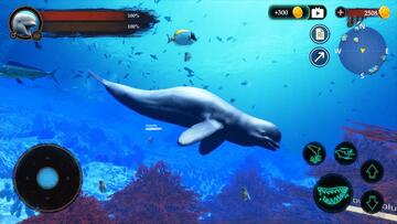 The Beluga Whale�׾�ģ���ֻ����ͼ1
