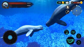 The Beluga Whale�׾�ģ���ֻ����ͼ2