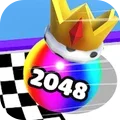 2048ײ1.0.2׿