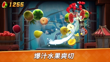 ˮ2Ϸ(Fruit Ninja 2)ͼ0