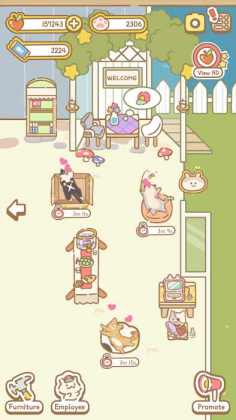 CatSpa(èspaƻ)ͼ0