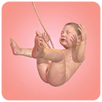 9个月无限钻石版(9 Months)