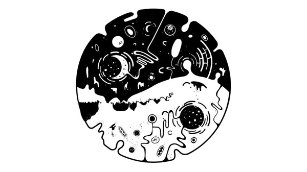 沃威沃破解版1.0.3中文版截图0