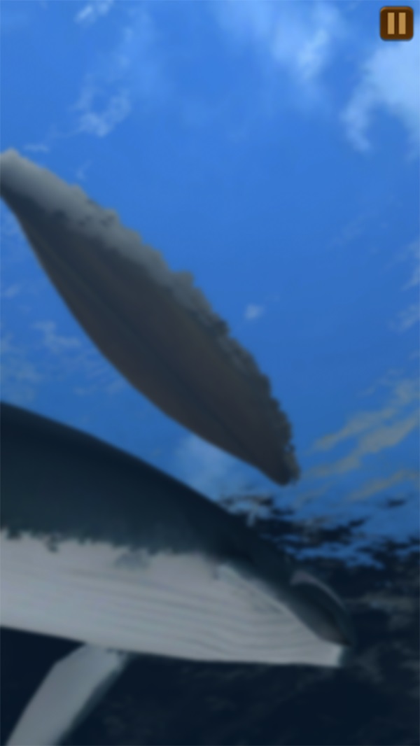 ����ģ���ƽ��