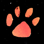 ���������������1.0.2���°�