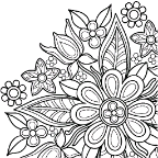 �����޻���ͼ�����ƽ��8.0.2ȥ����