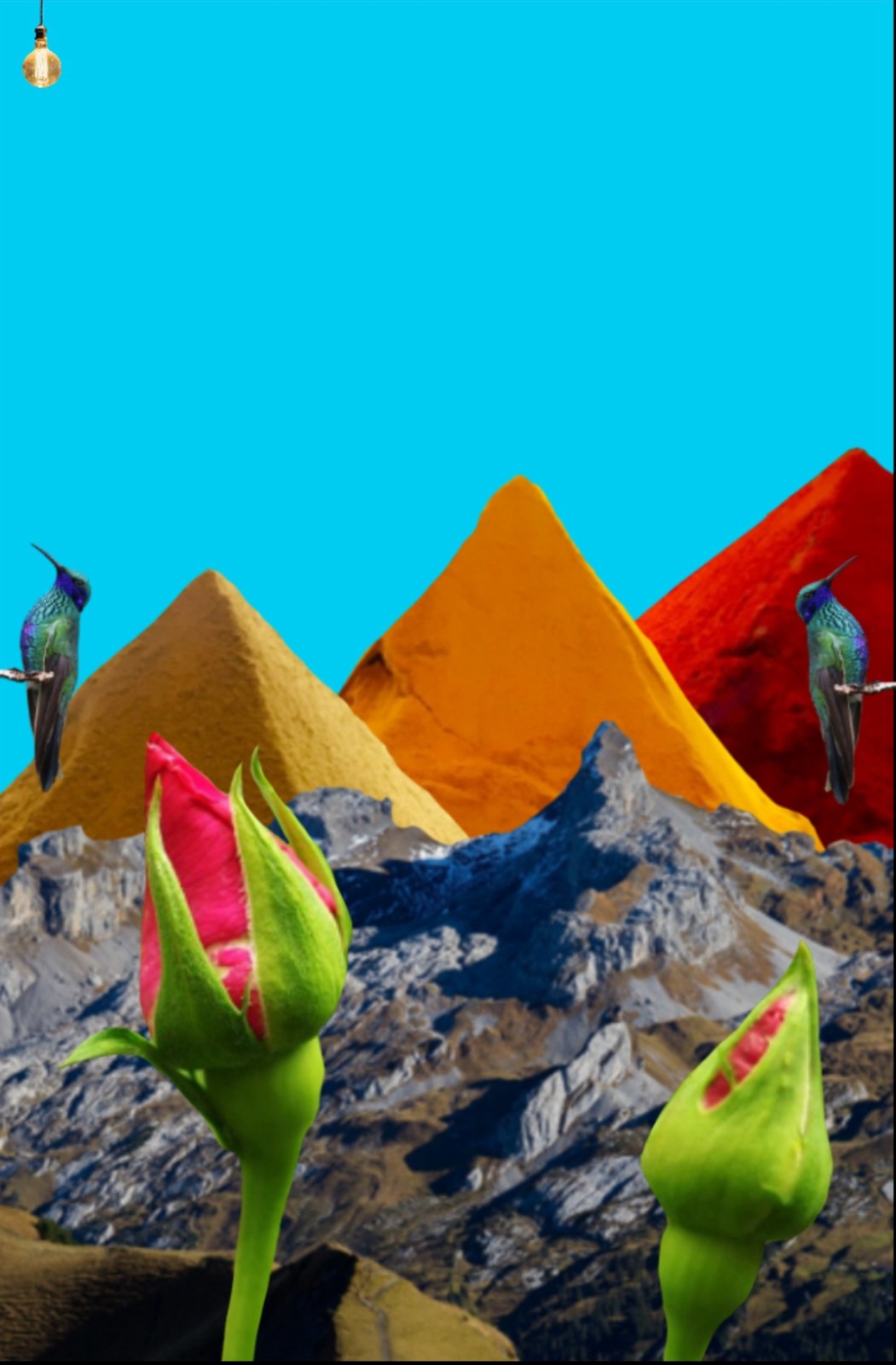 ���η����ƽ��