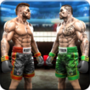 Real Shoot Boxing 2021(ʵȭ2020ƽ)1.0.3׿