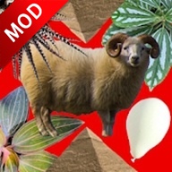 ���η����ƽ��1.0.1�����