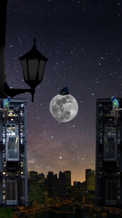 ���η����ƽ��1.0.1������ͼ0