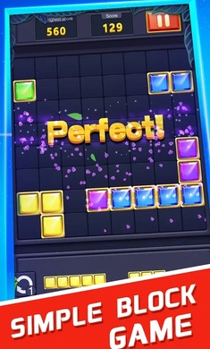 Block Puzzle(方块拼图2021官方版)截图3