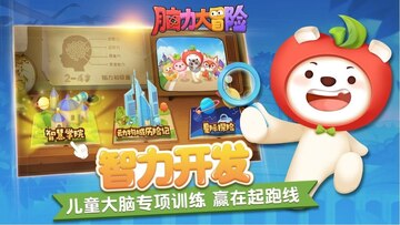 脑力大冒险电视版预览图
