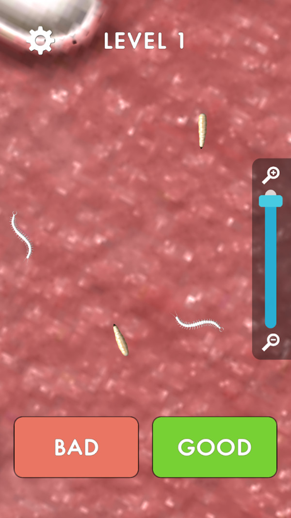 一起做实验最新版0.1安卓版截图0