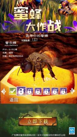 �۷����ս��׿��