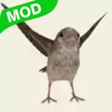 �Ⱦ���С�����޽�Ұ�1.2�ƽ��