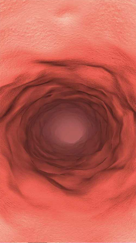 Sus Adventure(ţ�̴�ð�հ�׿��)1.0���°��ͼ2