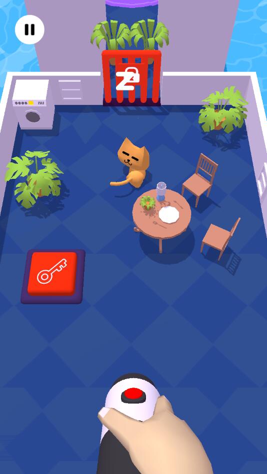 Ѱ���ҵ�Сè����