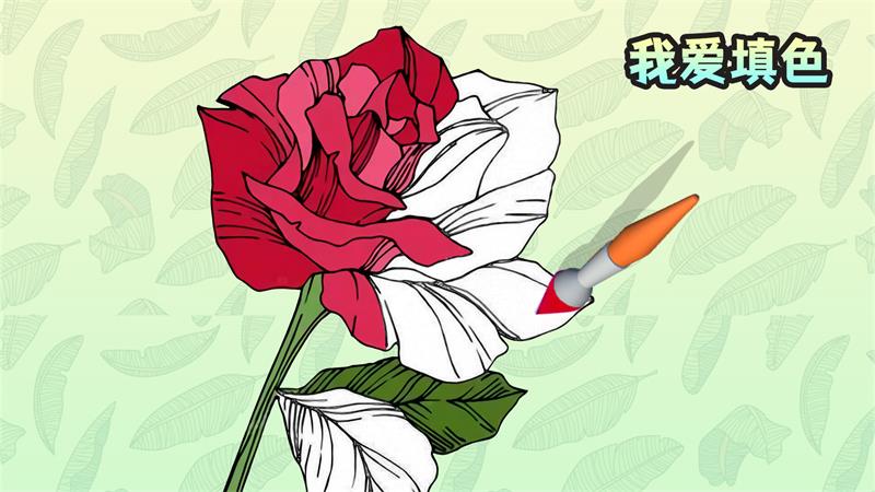 �Ұ���ɫ����