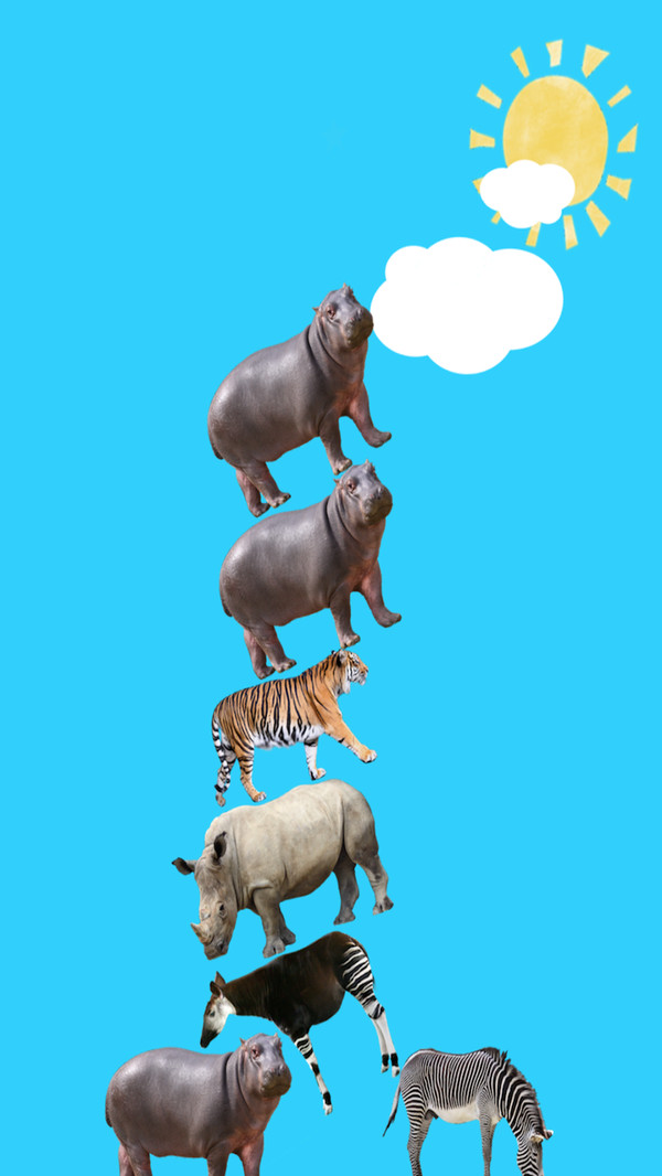 ��������ְ�׿��