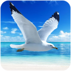 ��Ÿģ��������1.0.1���°�