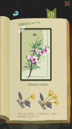 ��ũ�����ֻ����ͼ0