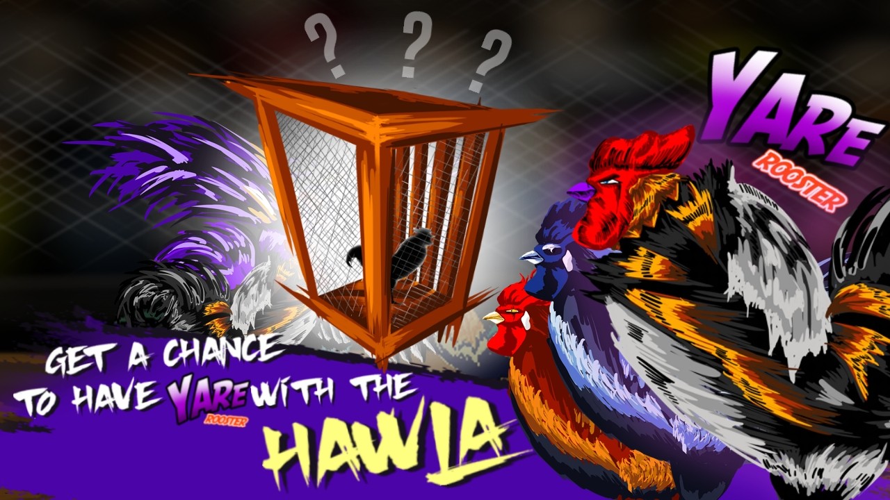 Sabong(��������)1.1��׿���ͼ3